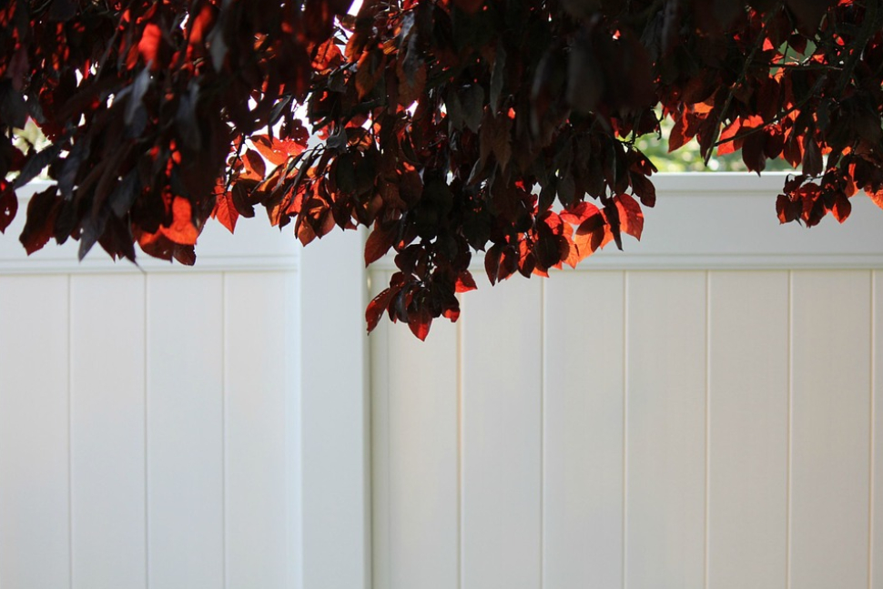this image shows vinyl fence in Rocklin, California